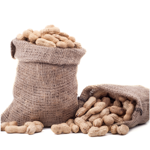 Jumbo Roasted Peanuts in Burlap Souvenir Bag